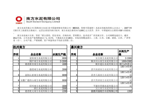南方水泥子公司