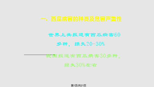 西瓜病害及其防治PPT课件