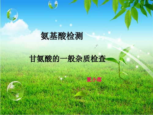 甘氨酸的一般杂质检查