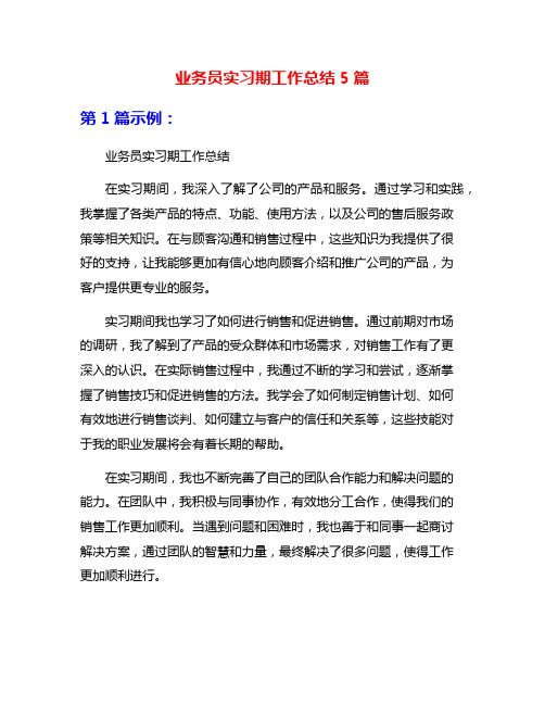 业务员实习期工作总结5篇