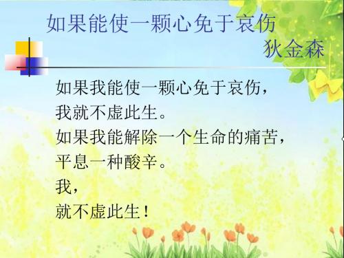 23.《卡罗纳》优秀ppt课件1