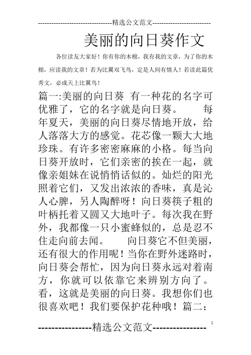 美丽的向日葵作文
