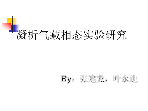 pvt-实验分析(1)