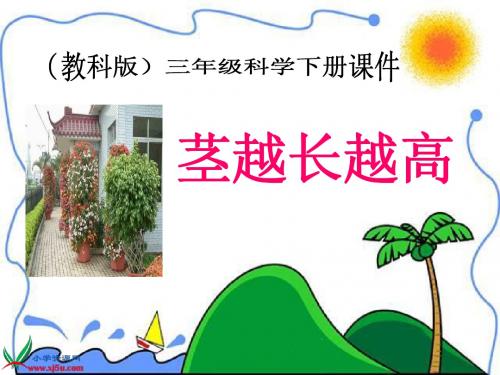 (教科版)三年级科学下册课件_茎越长越高