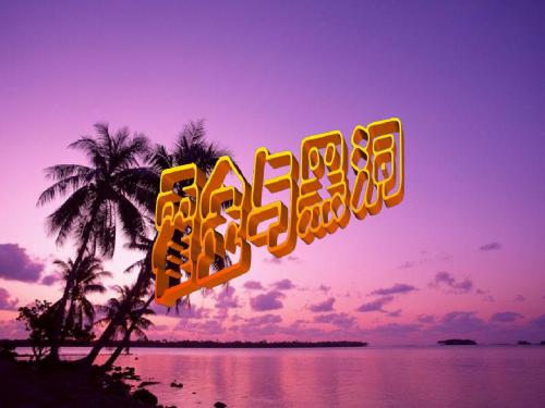 霍金与黑洞