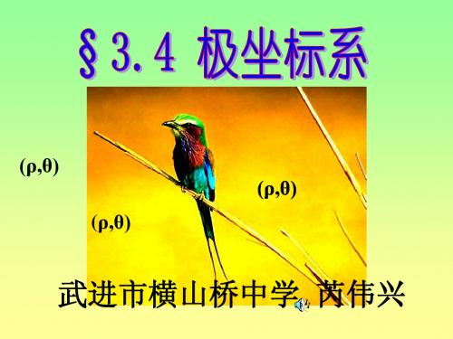 100959_极坐标系(第一课时)_芮伟兴