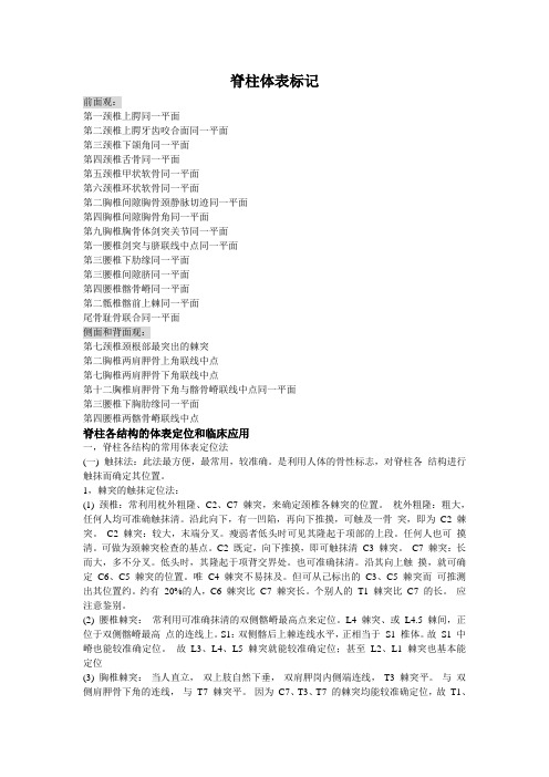 脊柱体表标记