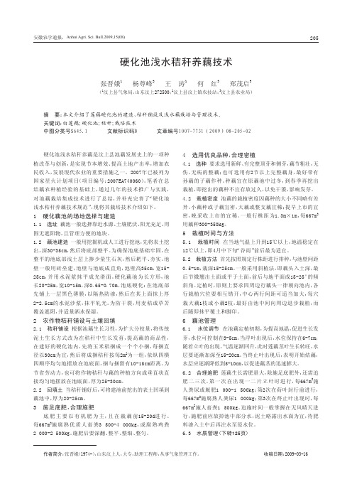 硬化池浅水秸秆养藕技术