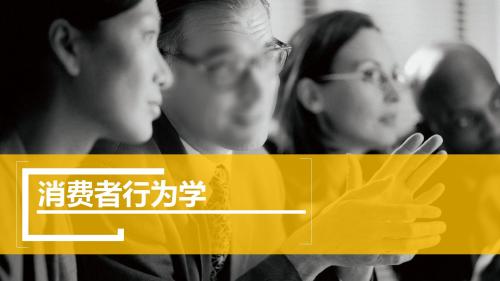 8第八章消费者行为与文化因素