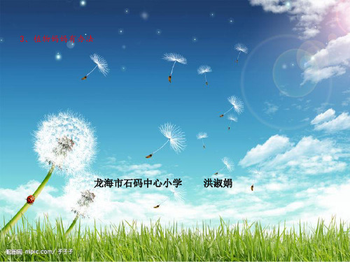 二年级上册语文课件 -《3植物妈妈有办法》  (共30张PPT) 人教部编版