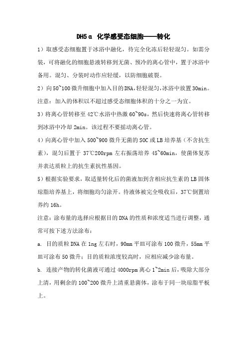 DH5α 化学感受态细胞——转化