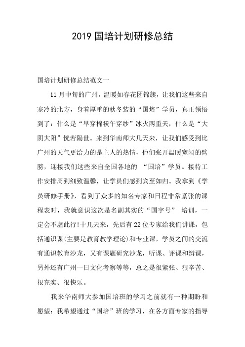 2019国培计划研修总结