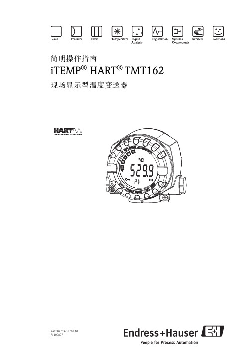 E+H iTEMP HART TMT162 现场显示型温度变送器简明操作指南