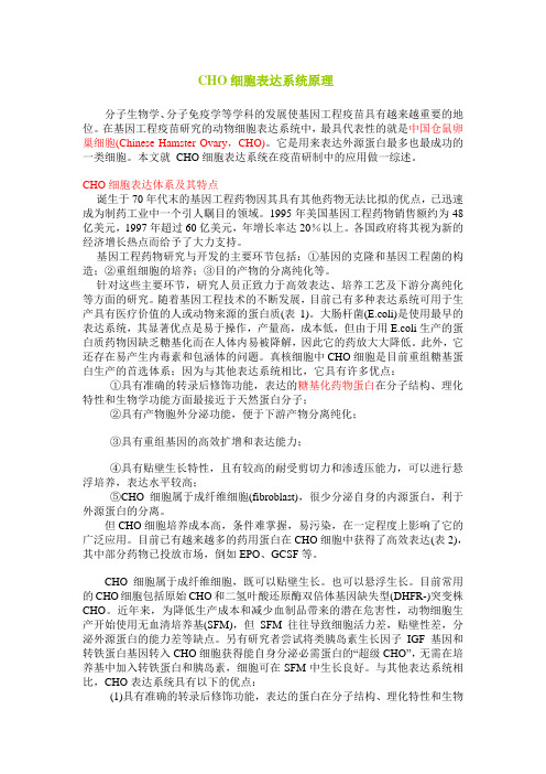 CHO细胞表达系统