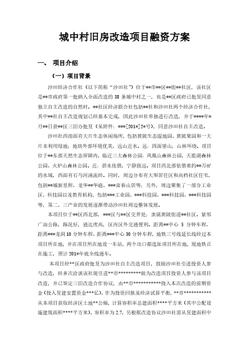 城中村旧房改造项目融资方案模板
