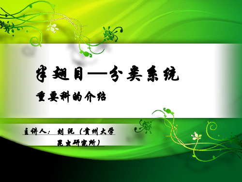 半翅目-分类系统【重要科的介绍】