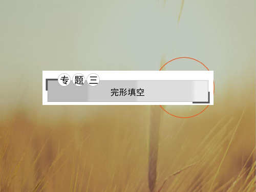名师导学2017年高三英语二轮专题复习专题三完形填空专题探究解题方略限时训练 课件共429张 精品