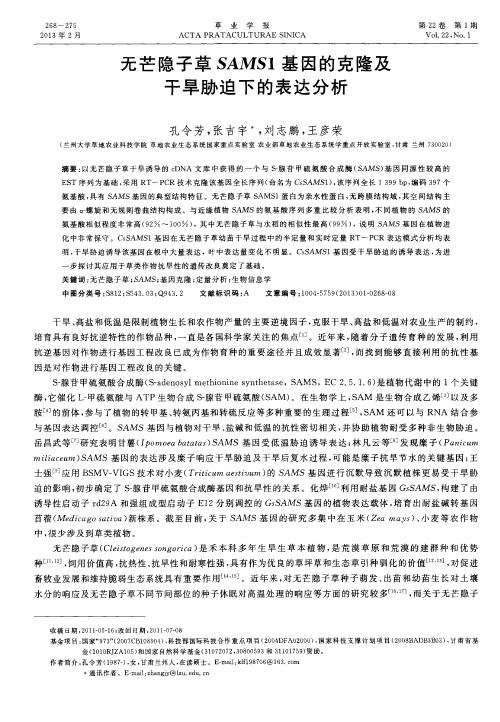 无芒隐子草SAMS1基因的克隆及干旱胁迫下的表达分析