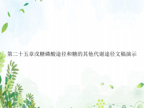 第二十五章戊糖磷酸途径和糖的其他代谢途径文稿演示