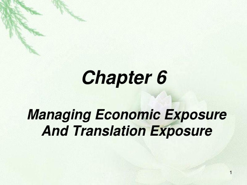 InternationalFinancialManagement6国际财务管理