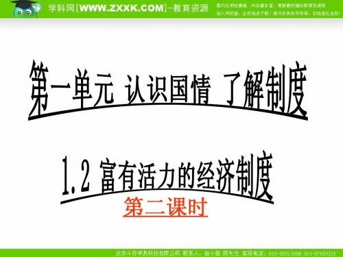 政治：粤教版九年级 1.2 富有活力的经济制度 第二课时(课件)