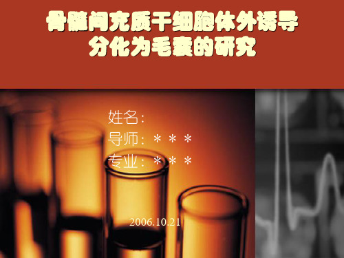 骨髓间充质干细胞体外诱导分化为毛囊的研究开题报告