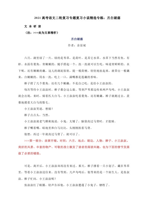 2021高考语文二轮复习专题复习小说精选专练：月白湖荡