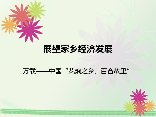 展望家乡经济发展——江西万载