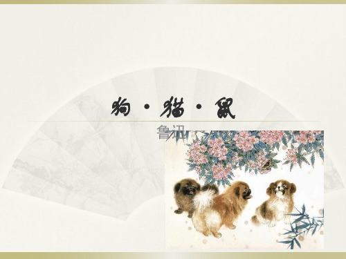 《朝花夕拾》------狗-猫-鼠