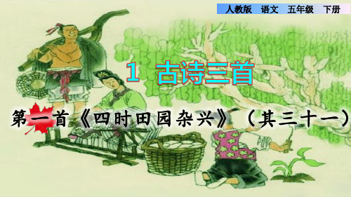 部编版五年级语文下册第1课.古诗三首《四时田园杂兴》教学课件