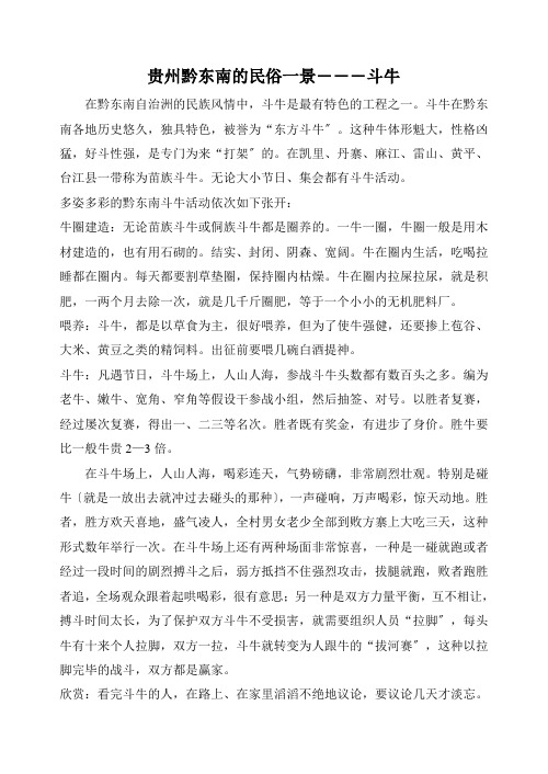 贵州黔东南的民俗一景―――斗牛