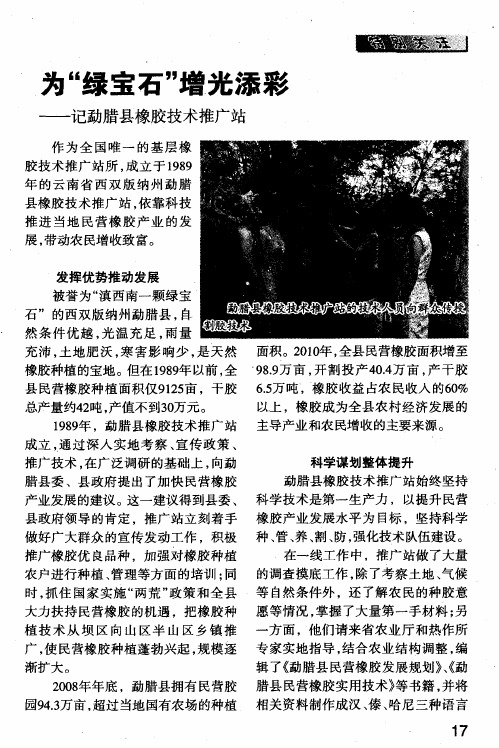 为“绿宝石”增光添彩——记勐腊县橡胶技术推广站