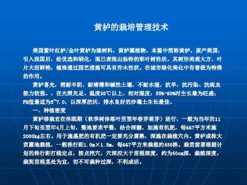 黄栌的栽培管理技术
