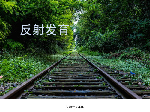 反射发育课件