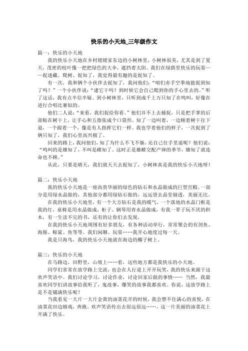 快乐的小天地_三年级作文