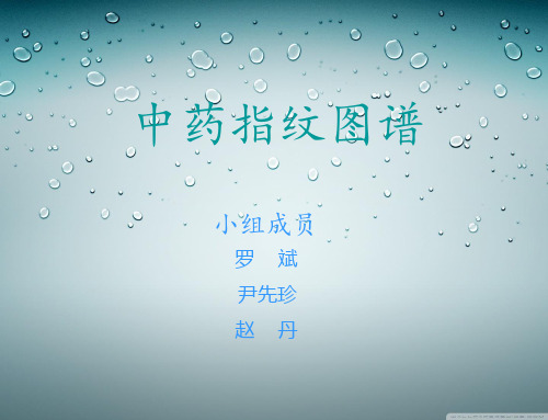 中药指纹图谱