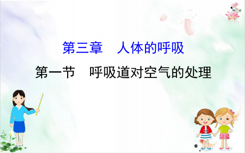人教版生物《呼吸道对空气的处理》PPT导学课件