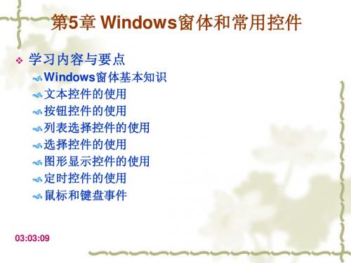 第5章Windows窗口控件