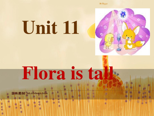 新概念starterA UNIT 11