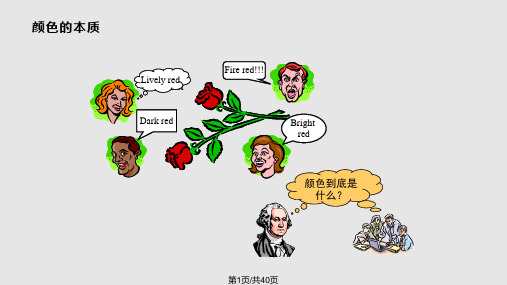光与颜色视觉PPT课件
