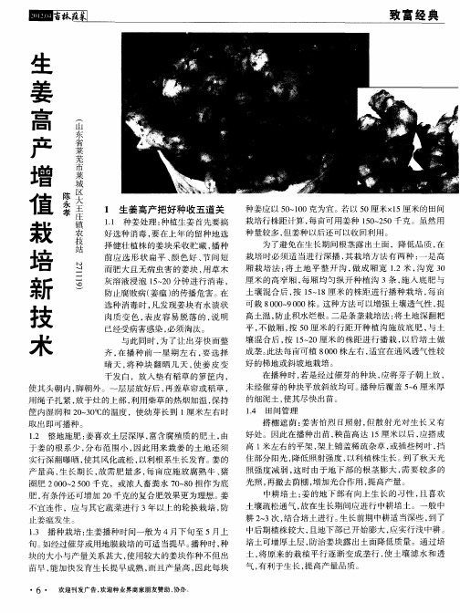 生姜高产增值栽培新技术