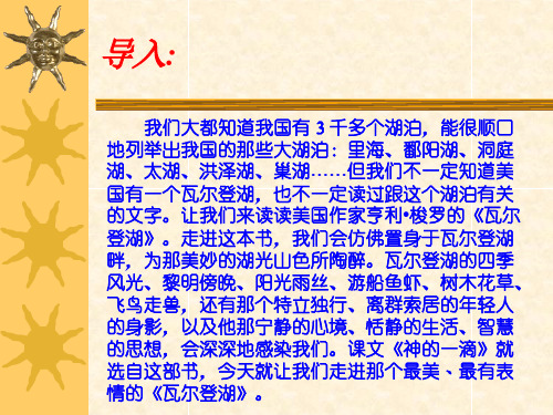 神的一滴课件