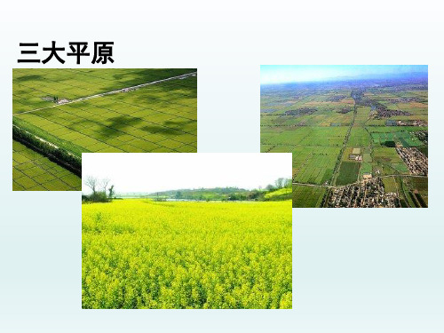 八年级地理上册  第二章中国的自然环境第一节地形和地势第1课时地形类型多样山区面积广大课件26-30