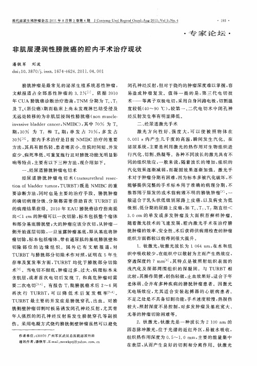 非肌层浸润性膀胱癌的腔内手术治疗现状