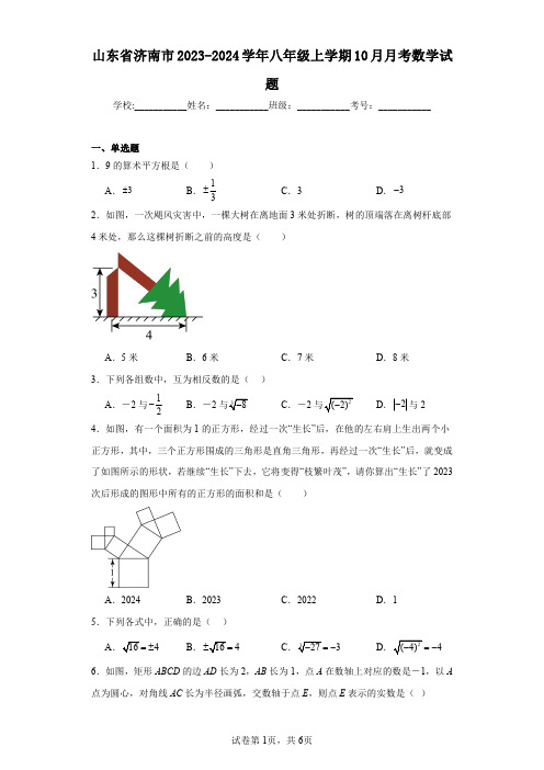 山东省济南市2023-2024学年八年级上学期10月月考数学试题