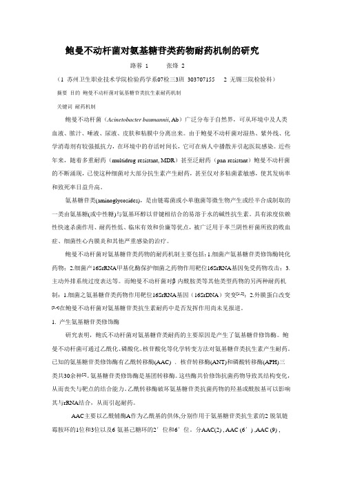 鲍曼不动杆菌对氨基糖苷类抗生素耐药机制的研究进展