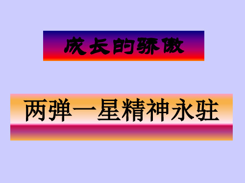 成长的骄傲：两弹一星精神永驻