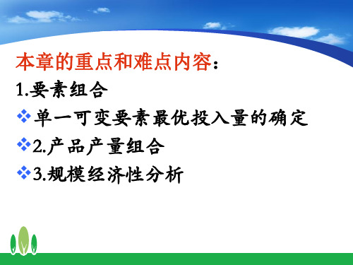 管理经济学生产决策理论思考