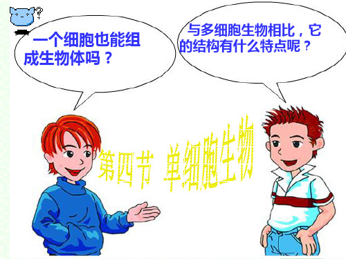 第四节单细胞生物2PPT课件