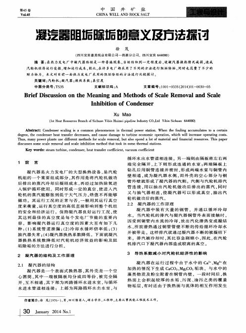 凝汽器阻垢除垢的意义及方法探讨